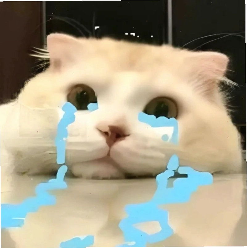 meme mếu mèo