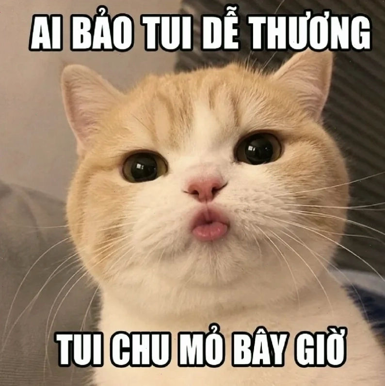 meme mếu viral