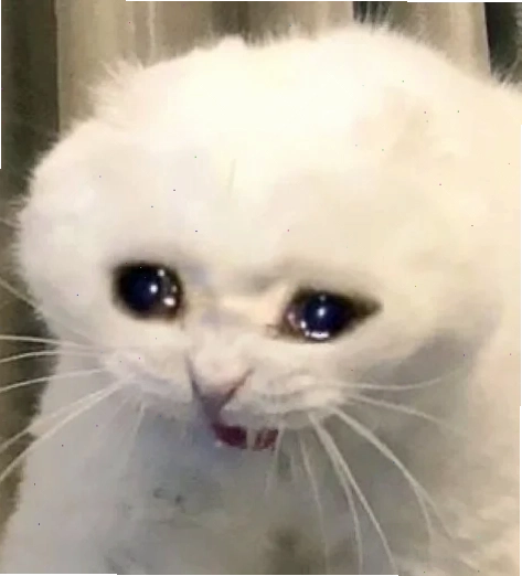 meme mếu vui nhộn