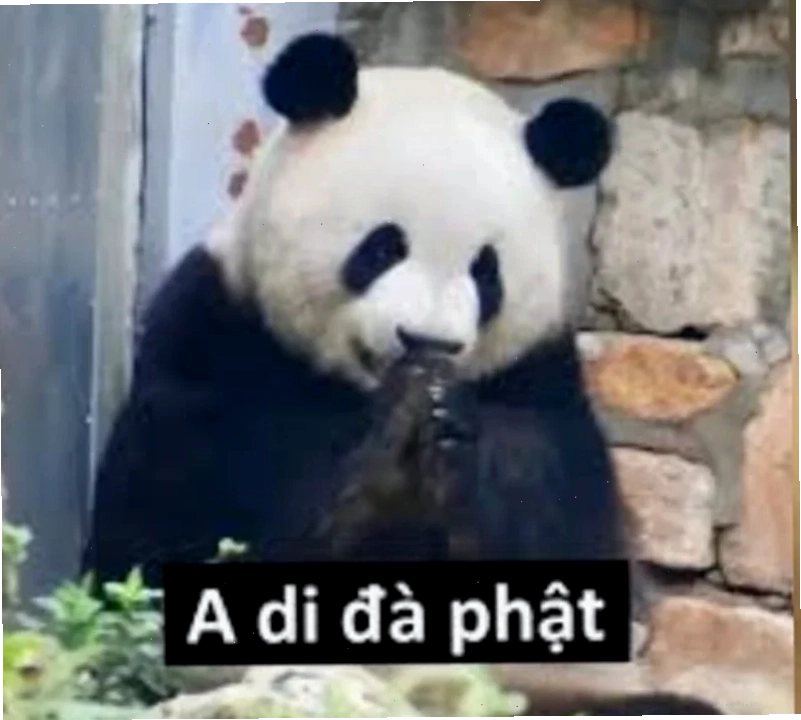meme mo phật hài hước nhất