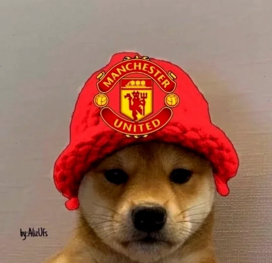 meme mu phong độ tệ