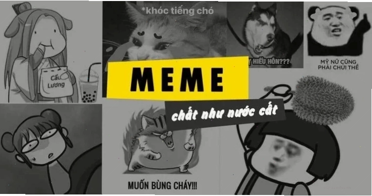 meme muốn bùng cháy hài hước