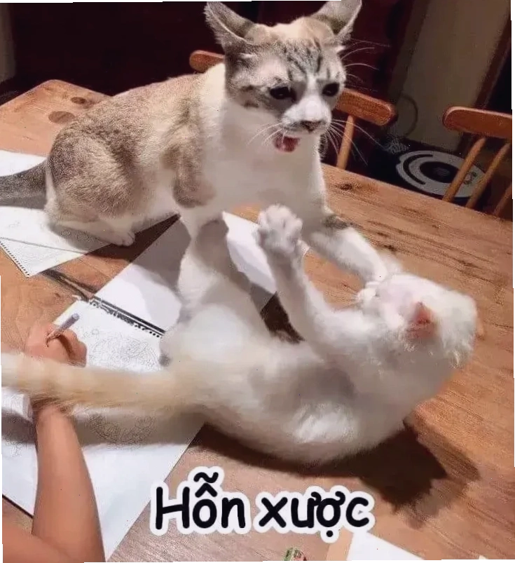 meme muốn bùng cháy sự thật