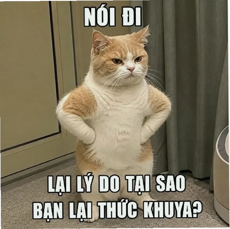 meme muốn bùng cháy trong tương lai
