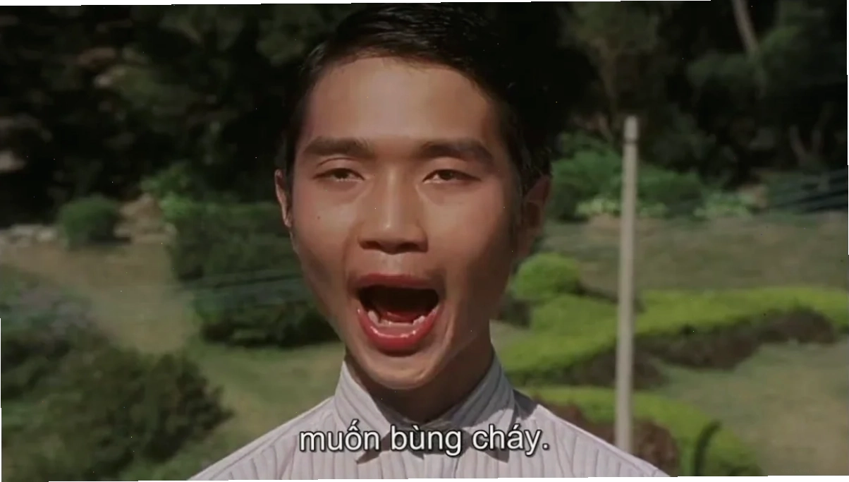 meme muốn bùng cháy trong Tuyệt đỉnh Kungfu