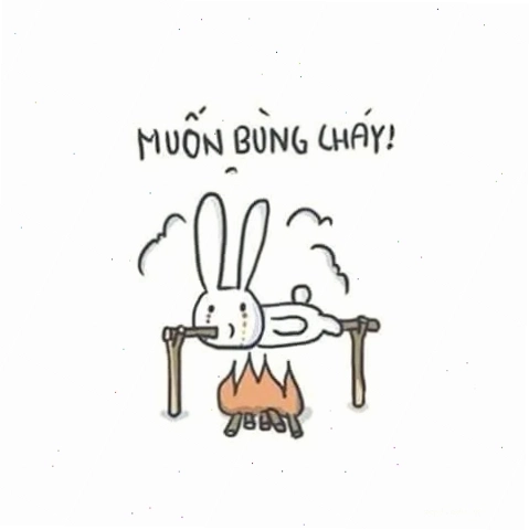 meme muốn bùng cháy trong Vua ăn mày