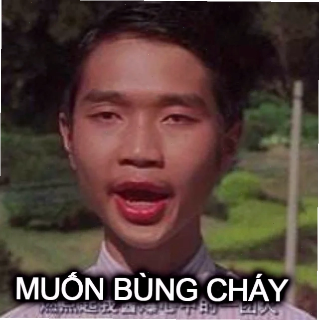 meme muốn bùng cháy và diễn xuất