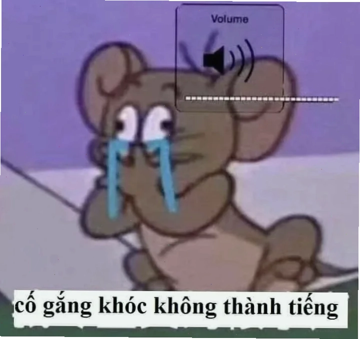 meme nằm khóc cười