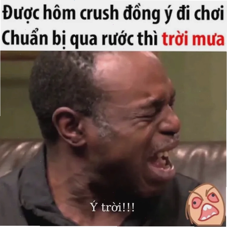 meme nằm khóc cuối