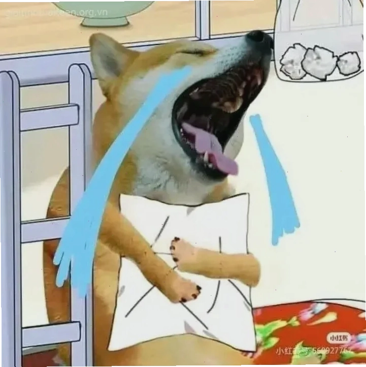 meme nằm khóc lầy