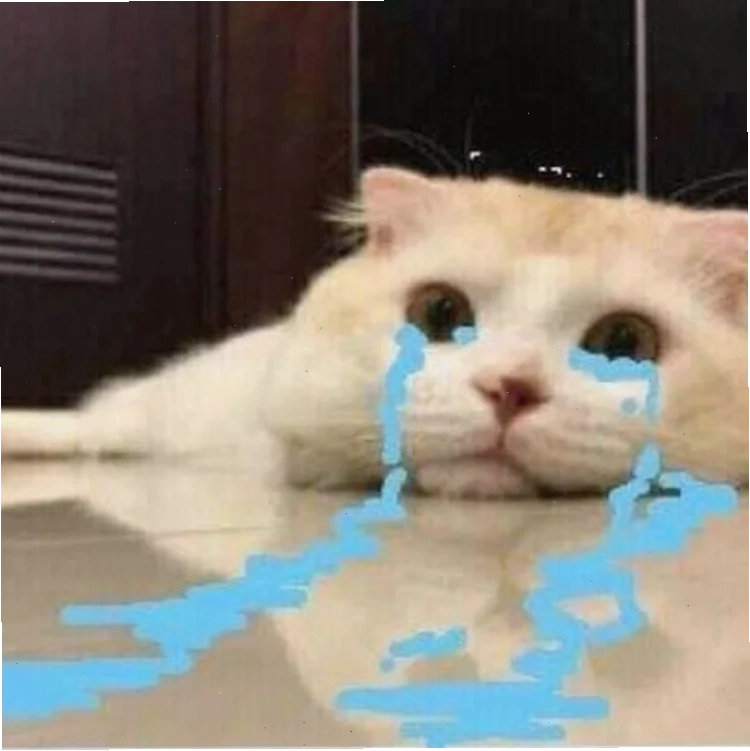 meme nằm khóc trên sàn nhà