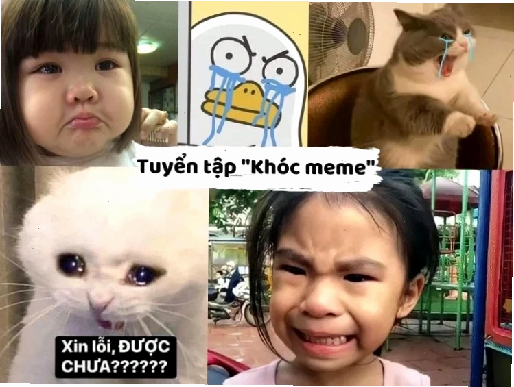 meme nằm ngủ khóc thảm