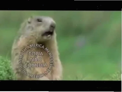 meme ne bá đạo