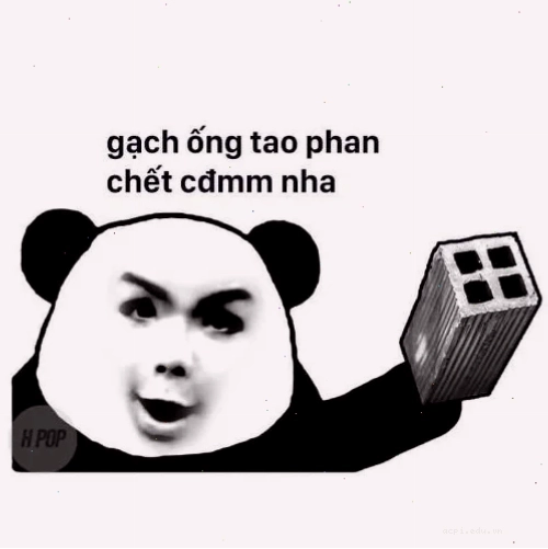 meme ném gạch