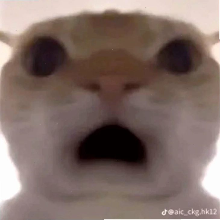 meme ngạc nhiên cười xỉu