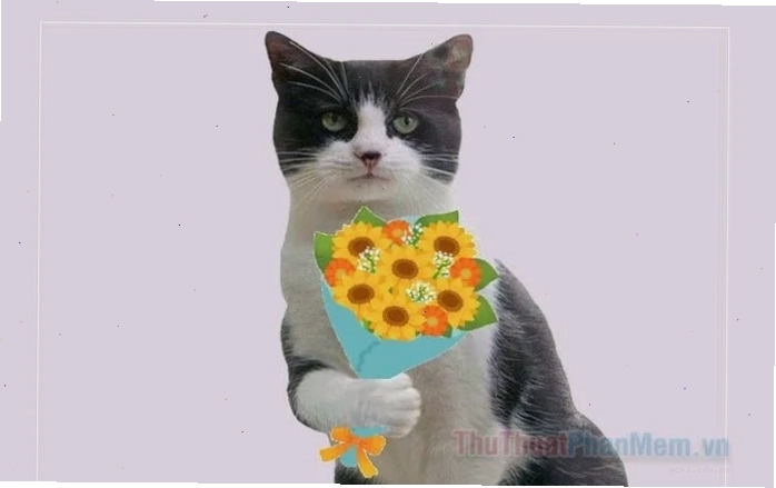 Meme ngạc nhiên khi nhận quà
