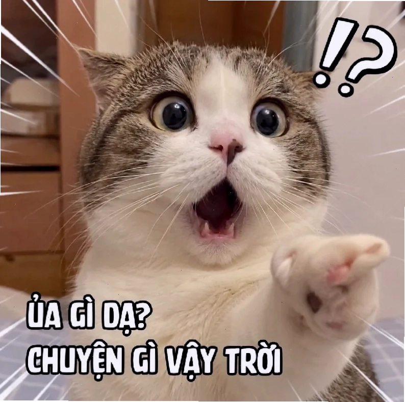 meme ngạc nhiên sững sờ