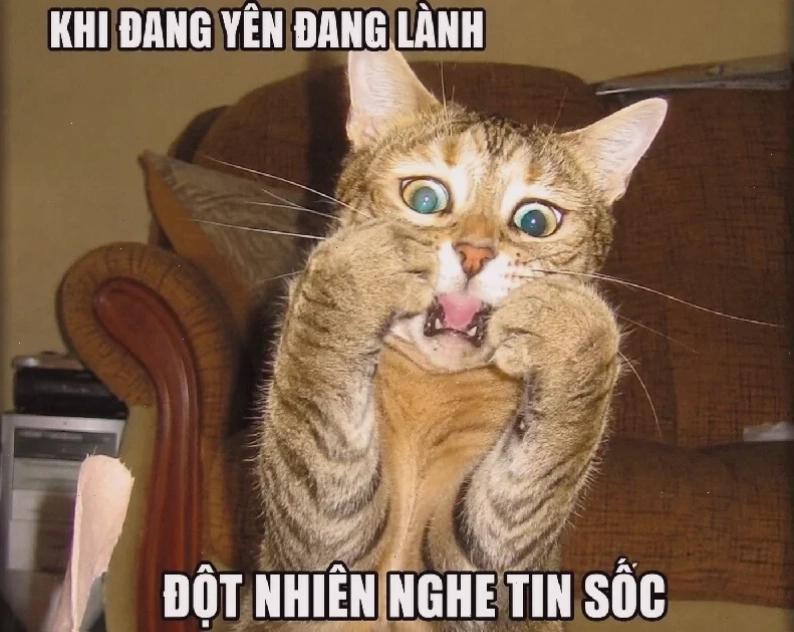 meme ngạc nhiên troll