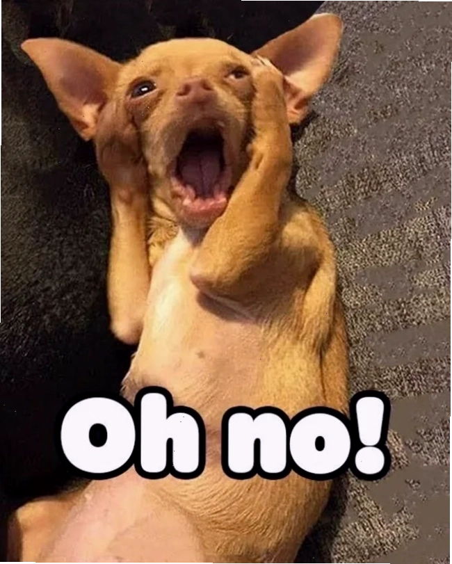 meme ngạc nhiên tròn xoe