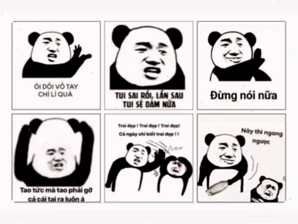 meme nghĩa là gì ảnh
