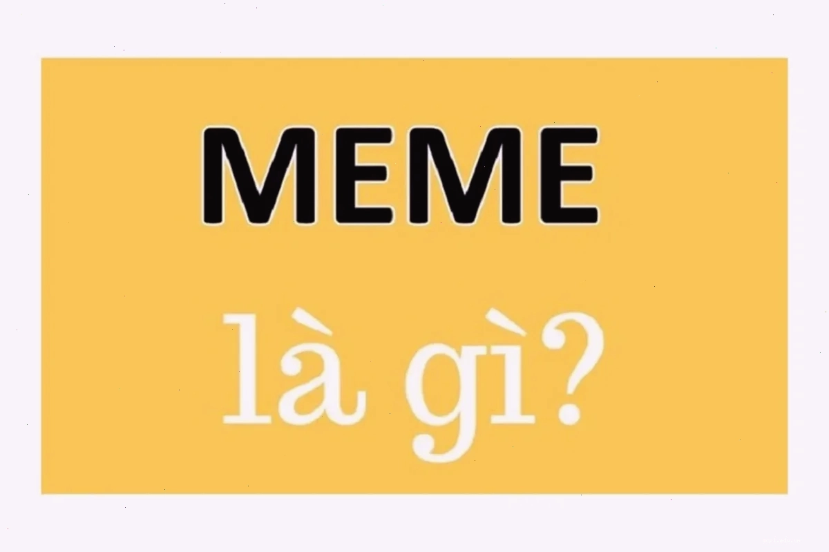 meme nghĩa là gì con số