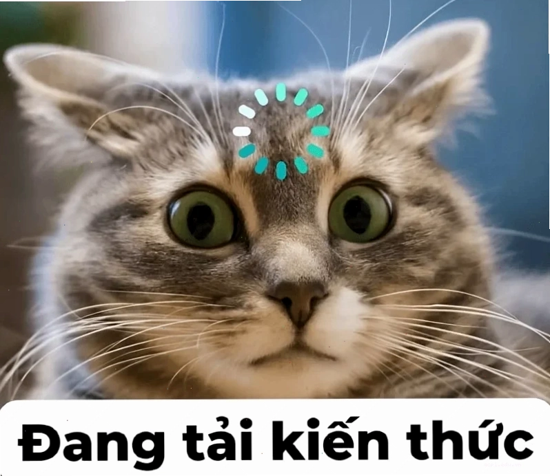 meme nghĩa là gì hay