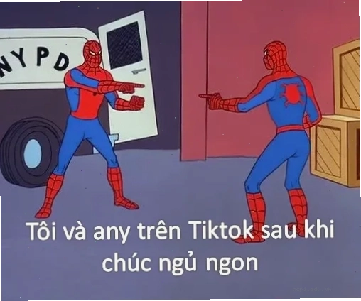 meme nghĩa là gì mạng
