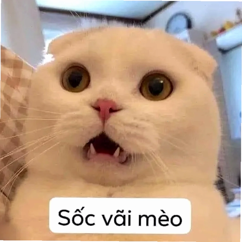 meme nghĩa là gì trào lưu
