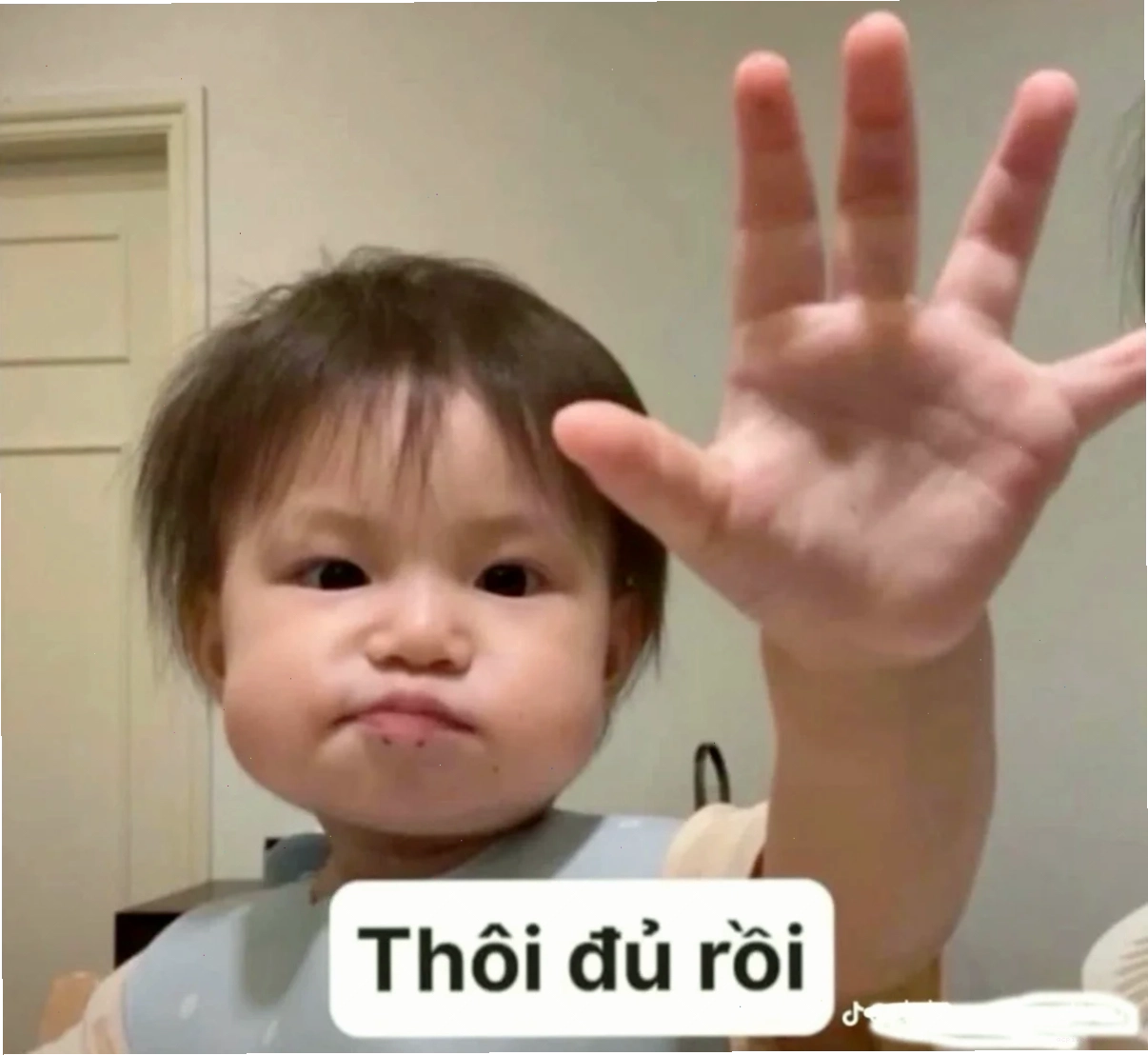 meme nghĩa là gì trong group