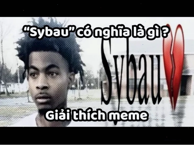 meme nghĩa là gì vui