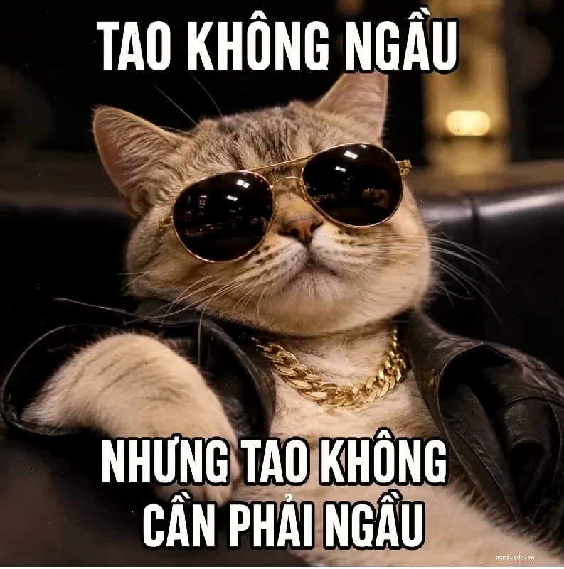 meme nghiêm túc đặc biệt