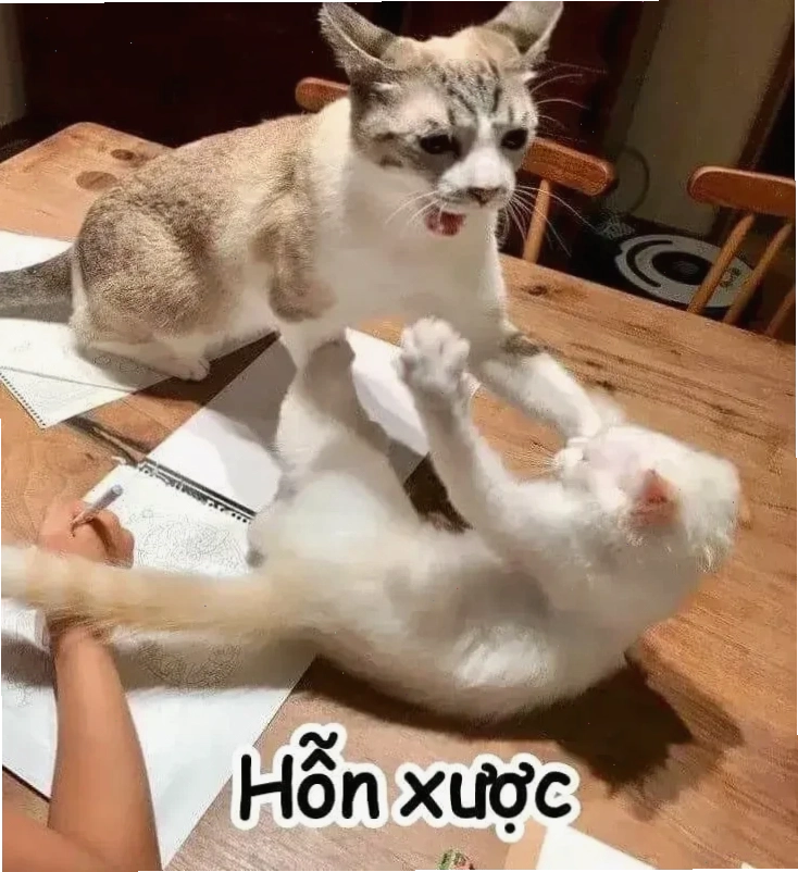 meme nghiêm túc dễ dùng