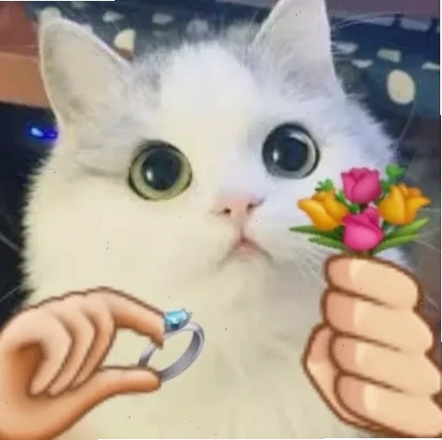 meme nghiêm túc đỉnh