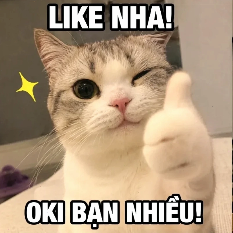 meme nghiêm túc vui