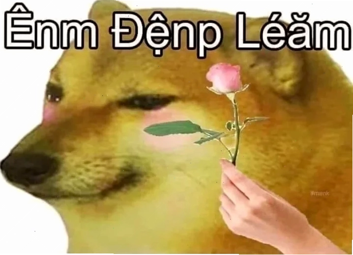 meme nghiêng đầu suy luận
