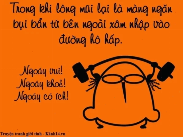 meme ngoáy mũi hài