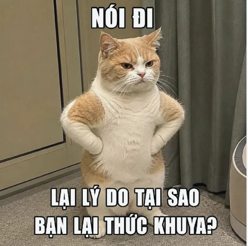 meme người đàn ông chống tay bất lực