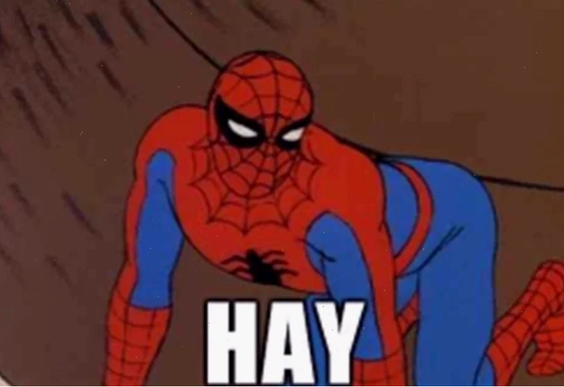 meme người nhện chỉ tay vào màn hình