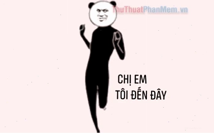 Chú lợn má hồng meme nhây hình chú lợn