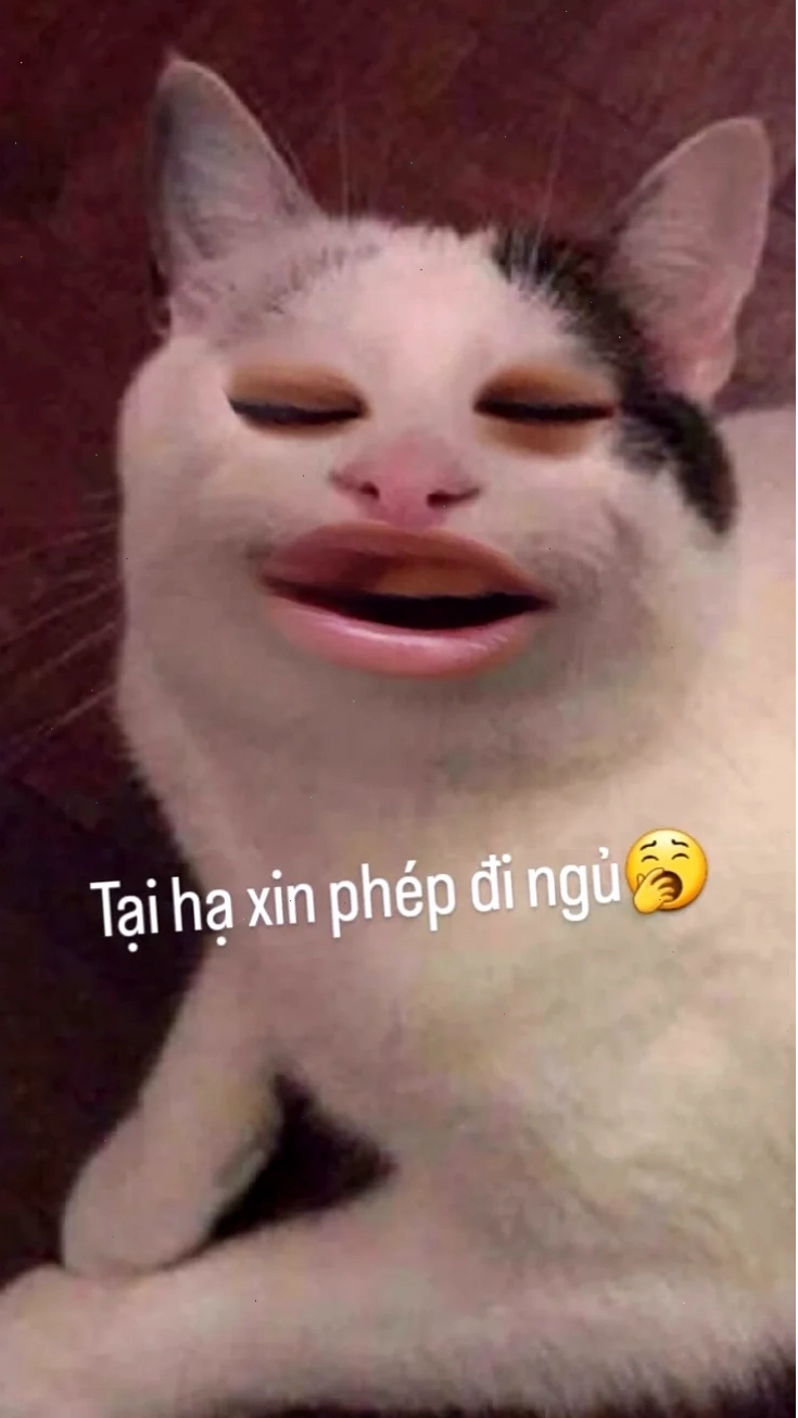 Ice Bear cầm dao meme nhây hình gấu trắng