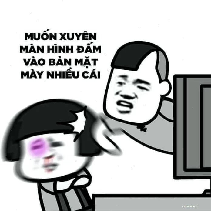 Mèo cười tự tin meme nhây hình mèo vằn