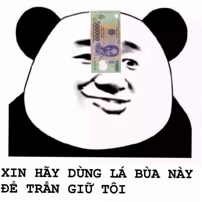 Chú trâu vô tri meme nhây hình trâu đen