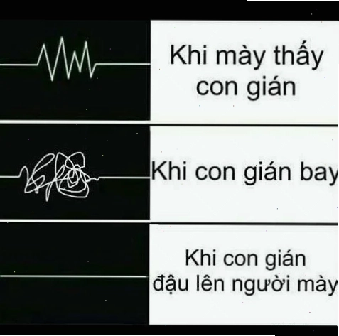Meme nhịp tim đáng yêu
