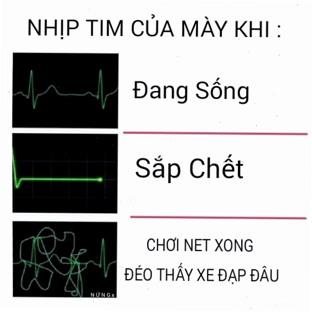 Meme nhịp tim hài hước