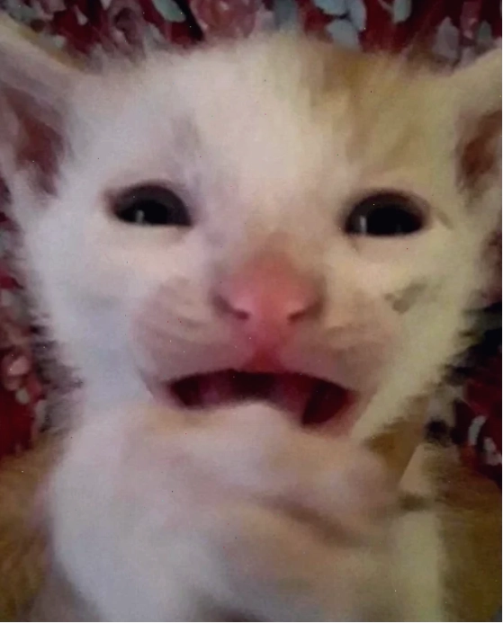meme nhỏ mắt