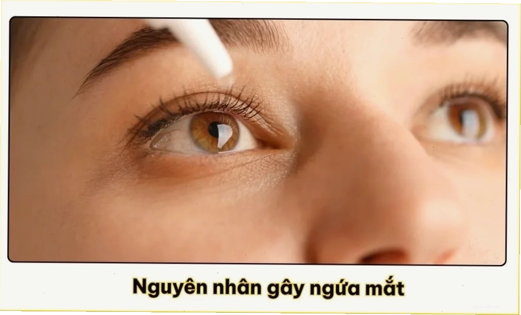 meme nhỏ mắt