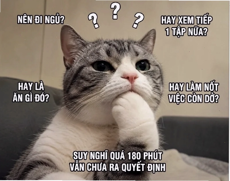 meme nước đi hay đấy vui