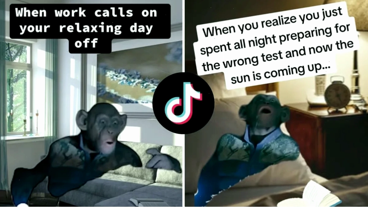 Meme ói máu cực chất