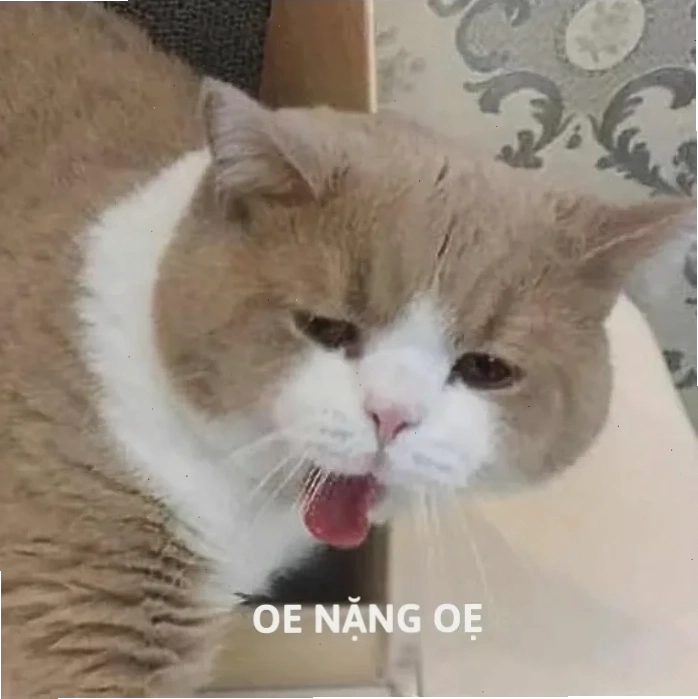 Meme ói máu giả trân