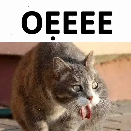 Meme ói máu thú vị